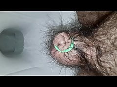 small  Pee attached