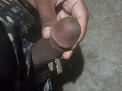 Cock  shaking