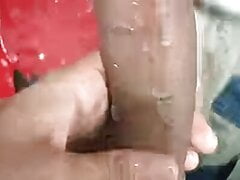 Sex