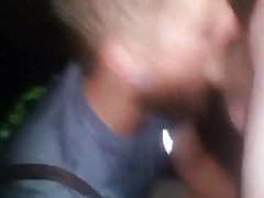Student swallow