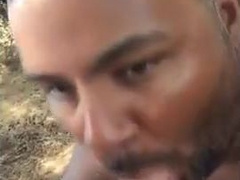 Bear sucking and eating 8