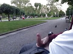 Park flashing