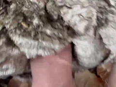 Banging a fuck hole in a tree