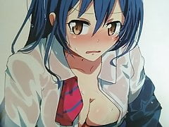 SoP: Sonoda Umi (Love Live!)