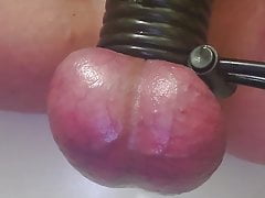 Slave penis and electro torture