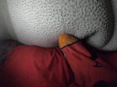 Raw Desire with five Mins of Dribbling PreCum. Elmo Gets a Runny Nose LOL