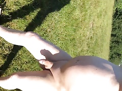 out for a stroll