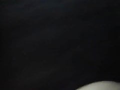 selfsuck 111