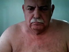 Italian Bear