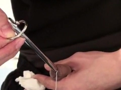 steel ball sound and penis plug insert