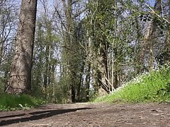 Meer bos en Bambd porn Michelangelo.
