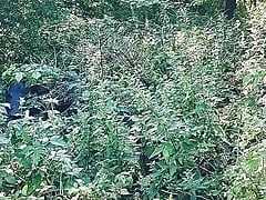 Forest cum. Walk with final orgasm