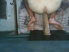 50cm x 5cm dildo