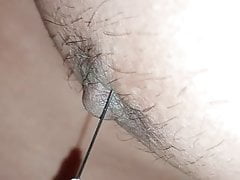 Nipple needle  play and Ants