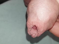 Delicious penis