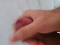 mi paja