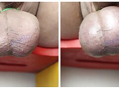 Complete 20 minutes elastrator castration time lapse