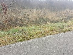 Pantyhose flash in nature