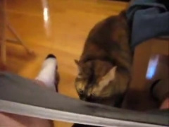 Crystal Rae Bed HJ demo