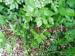 outdoor wank and cum