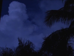 Ryan Rose, James Hemilton Duncan Black