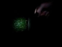 backyard at night