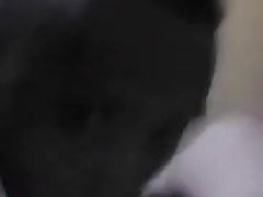 Bebendo porra do coroa gordo