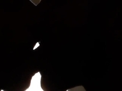 Pornostar Gay Orgy