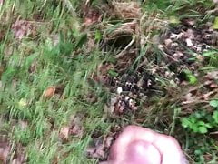 Outdoor cumshot
