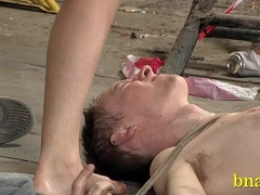 Homosexual practices bondage & discipline romp
