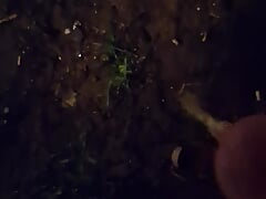 A little night out in the fresh air
