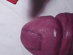 cbt