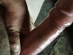 i masturbate my pumped-up cock