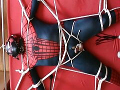 Spiderman in the Frame