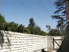 PARATI IL CULO TENENTE - Episode 2