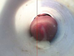 Watching Me Cum In A Tube