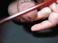 Urethra Sounding Compilation
