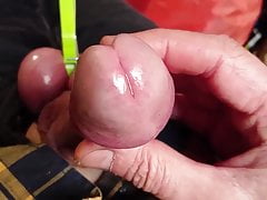 Finish In The Garden - Part 2