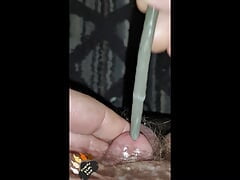 A Working Bear's Tiny Cock Sounded  With Cum
