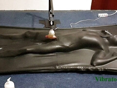 Milked by controlled vibrator in vacbed