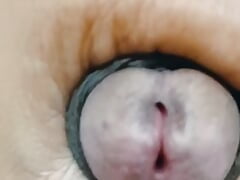 The Monster Cock 8inch