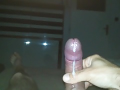 Cumshot,pulsating cock