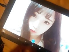 Korea cumtribute