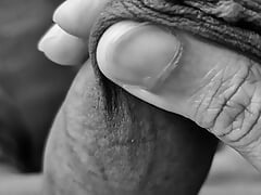 VINTAGE COCK
