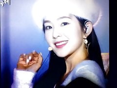 Red Velvet Irene Cum Tribute