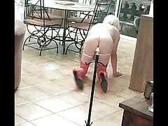 Diana female dog impales herself
