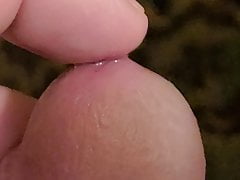 Closeup Small Cock Soft Not Hard Precum