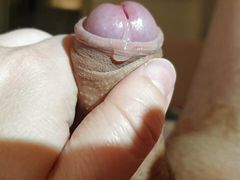 Morning Wood 1