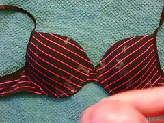 bra cum 31 - covered again