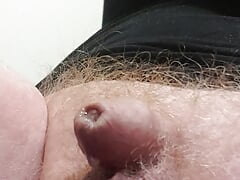 Toy in Ass, Small Cock Masturbation